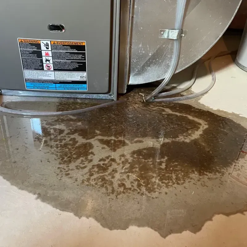 Appliance Leak Cleanup in Leon Valley, TX